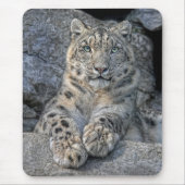 Schnee-Leopard-Schönheit Mousepad (Vorne)
