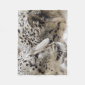 Schnee-Leopard-Umarmung Fleecedecke (Vorderseite)