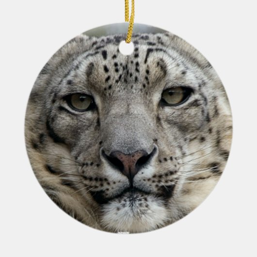 Schnee-Leopard-Verzierung Keramikornament (Vorne)