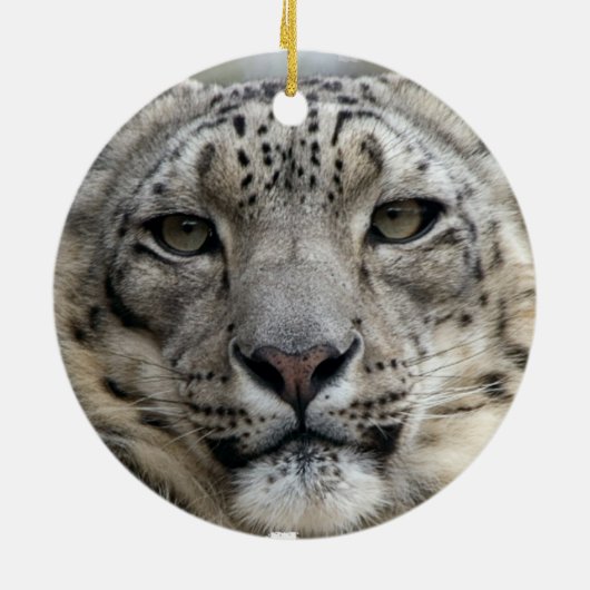 Schnee-Leopard-Verzierung Keramikornament (Hinten)
