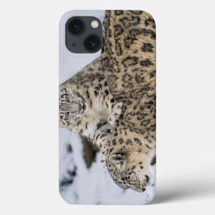 Schnee-Leoparden: Case-Mate iPhone Hülle