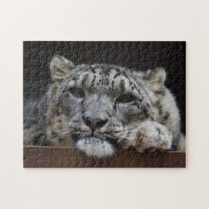 Schnee-Leopardpuzzlespiel Puzzle