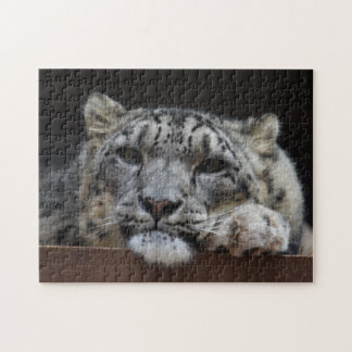 Schnee-Leopardpuzzlespiel Puzzle