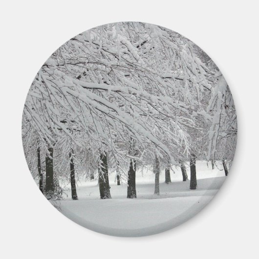 Schnee Magnet (Vorne)
