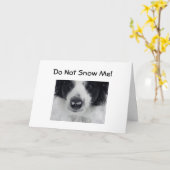 SCHNEE MICH NICHT - DEN 50. GEBURTSTAG-SPASS KARTE (Gelbe Blume)