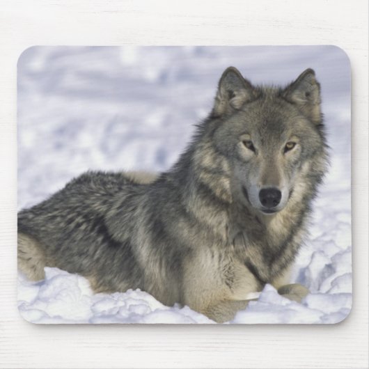 Schnee Mousepad (Vorne)