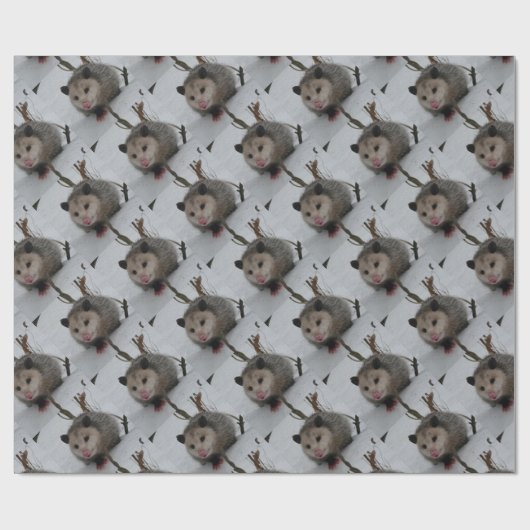 Schnee-Opossum Geschenkpapier (Flach)
