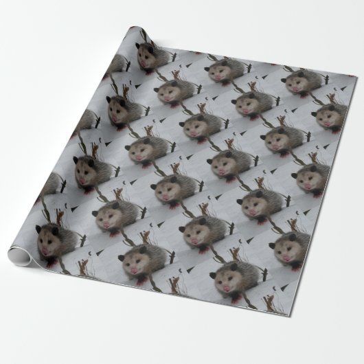 Schnee-Opossum Geschenkpapier (Ungerollt)