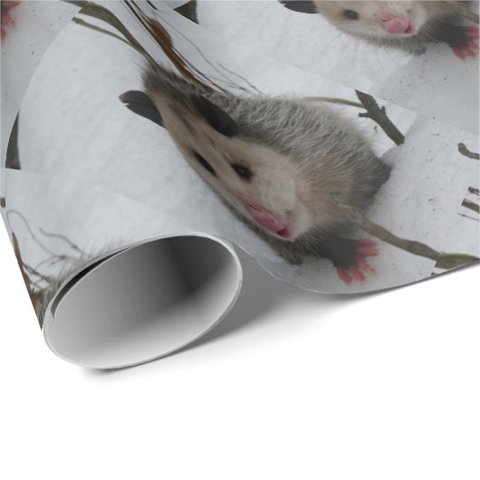 Schnee-Opossum Geschenkpapier (Rolleneckpunkt)
