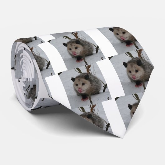 Schnee-Opossum Krawatte (Gerollt)