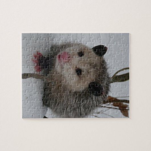 Schnee-Opossum Puzzle (Horizontal)