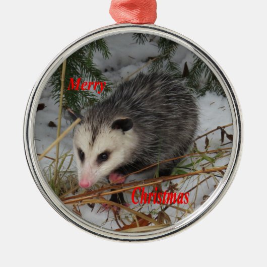Schnee-Opossum Silbernes Ornament (Vorne)