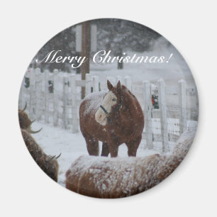 Schnee-Pferd, frohe Weihnachten! Magnet