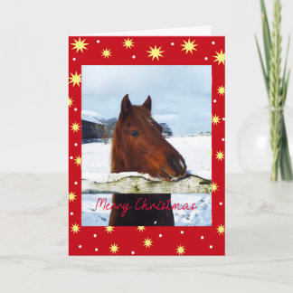 Schnee-Pferd-Weihnachten Feiertagskarte