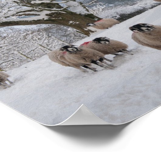 Schnee Poster (Ecke)