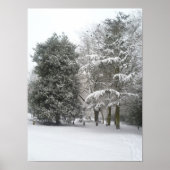 Schnee - Poster (Vorne)