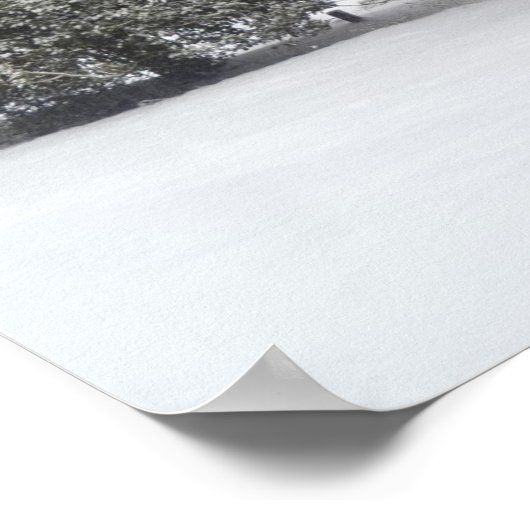 Schnee - Poster (Ecke)