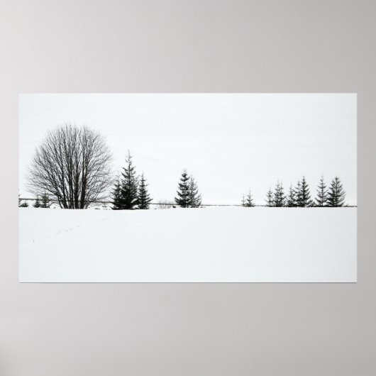 Schnee Poster (Vorne)