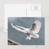 Schnee Postkarte (Vorne/Hinten)