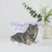 Schnee Postkarte (Stehend Vorderseite)