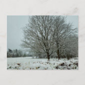 Schnee Postkarte (Vorderseite)