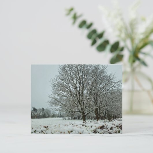 Schnee Postkarte (Stehend Vorderseite)