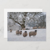 Schnee Postkarte (Vorne/Hinten)