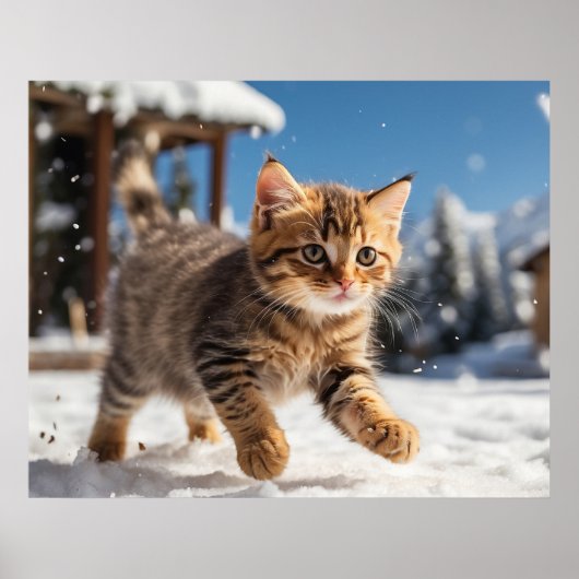 *~* Schnee Running Kitty 5:4 Kätzchen AP68 Poster (Vorne)