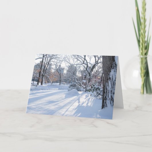 Schnee-Schatten Karte (Vorderseite)