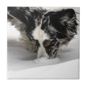 Schnee-SchnauzeCorgi Fliese