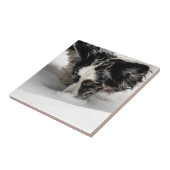 Schnee-SchnauzeCorgi Fliese (Seite)