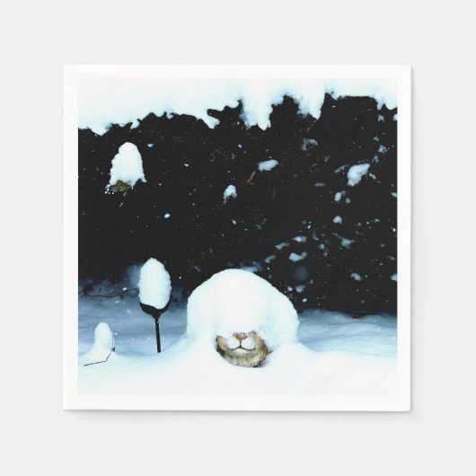 SCHNEE SERVIETTE (Vorderseite)