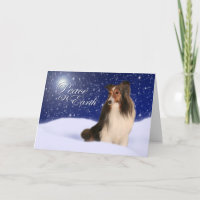 Schnee Sheltie Feiertags-Karte