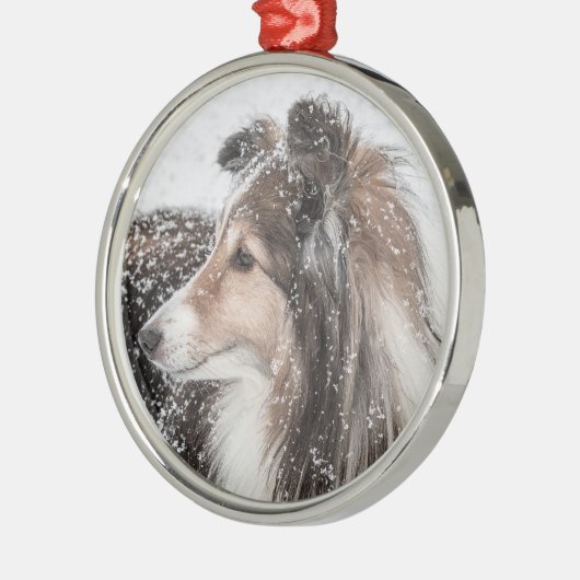 Schnee Sheltie Weihnachtsverzierung Silbernes Ornament (Links)