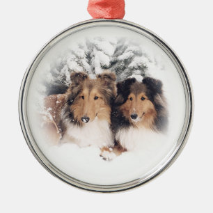 Schnee Shelties Silbernes Ornament