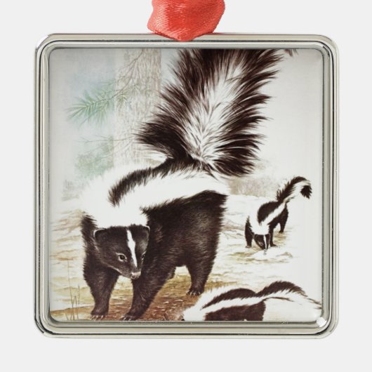 Schnee Silbernes Ornament (Vorne)