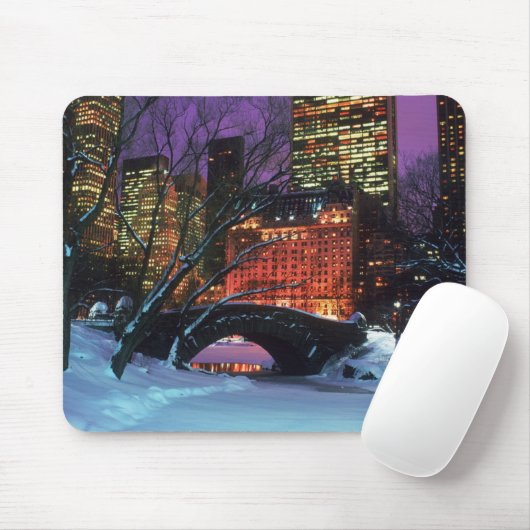 Schnee-Szene in der Central Park-Mausunterlage Mousepad (Mit Mouse)