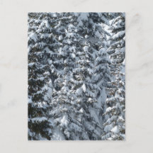 Schnee Tannenbaum Textur