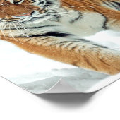 Schnee Tiger Mountains Winter Nature Foto Poster (Ecke)