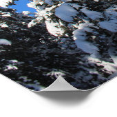 Schnee Top Evergreen Poster (Ecke)