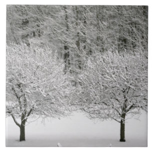 Schnee umfaßte Landschaft Fliese