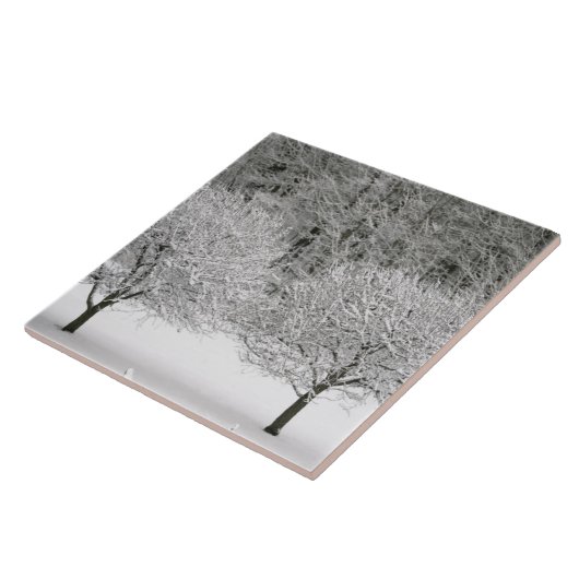 Schnee umfaßte Landschaft Fliese (Seite)