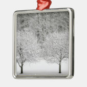 Schnee umfaßte Landschaft Silbernes Ornament (Links)