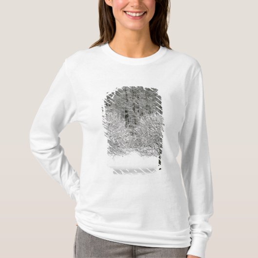 Schnee umfaßte Landschaft T-Shirt (Vorderseite)