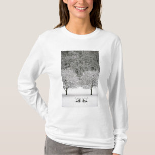 Schnee umfaßte Landschaft T-Shirt