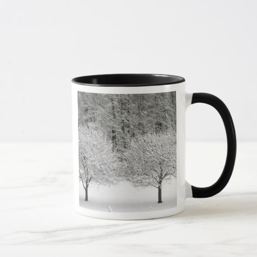 Schnee umfaßte Landschaft Tasse (Rechts)