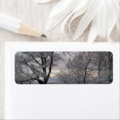 Schnee umfaßte Niederlassungen (Insitu)