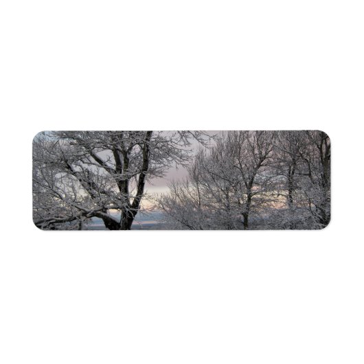 Schnee umfaßte Niederlassungen (Vorne)