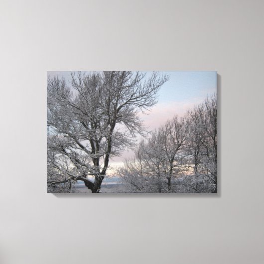 Schnee umfaßte Niederlassungen Leinwanddruck (Vorderseite)