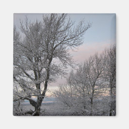 Schnee umfaßte Niederlassungen Magnet